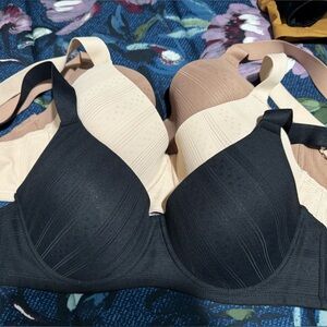 40C bras. Set of 3